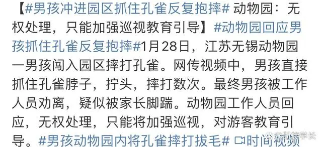 无锡动物园回应一男孩摔打孔雀 后续让人感到无语