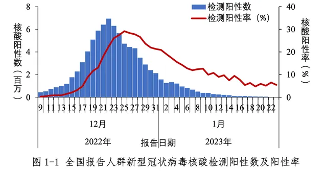 中疾控:中国本轮疫情已近尾声（春节期间疫情未明显反弹）