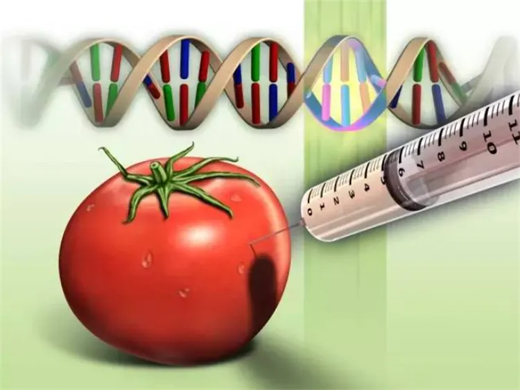 植物的遗传密码可不可以修改（回答：可以修改）