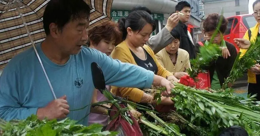 挂艾草的寓意（端午挂艾草的由来）