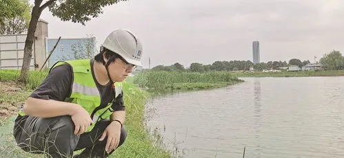 水葫芦可以净化水质吗(水芙蓉和水葫芦哪个净化水质好)