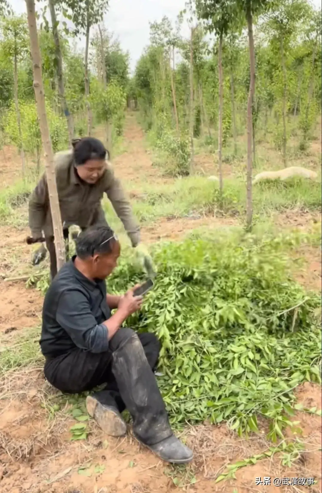 求水林场主:曾坐奔驰宝马现坐三轮（是谁让治沙英雄在咆哮）