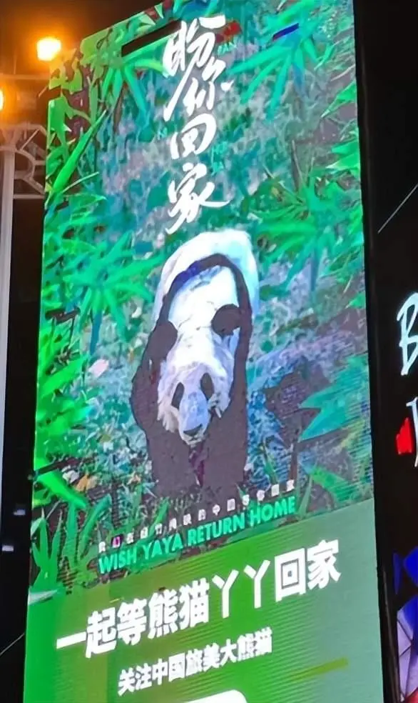 义乌一商场大屏现巨幅丫丫海报（详细内容）