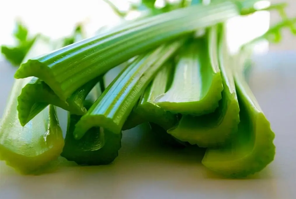 西芹和芹菜的区别（如何区分西芹和芹菜）