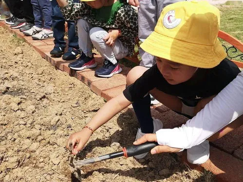 花生几天发芽出土(花生芽怎么催芽又快又好)