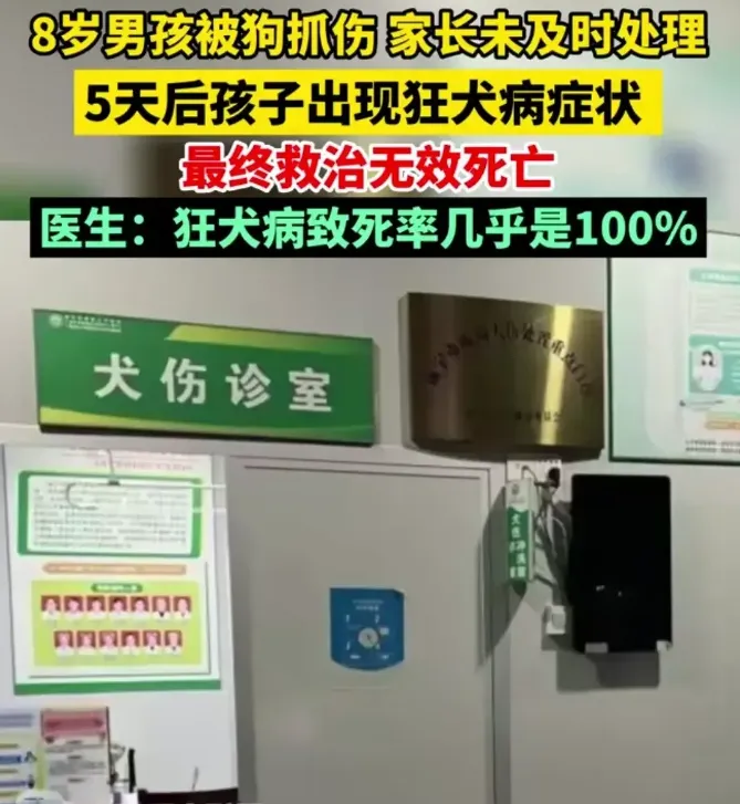 男孩被狗抓伤患狂犬病20天后死亡（被抓伤千万不要心存侥幸）