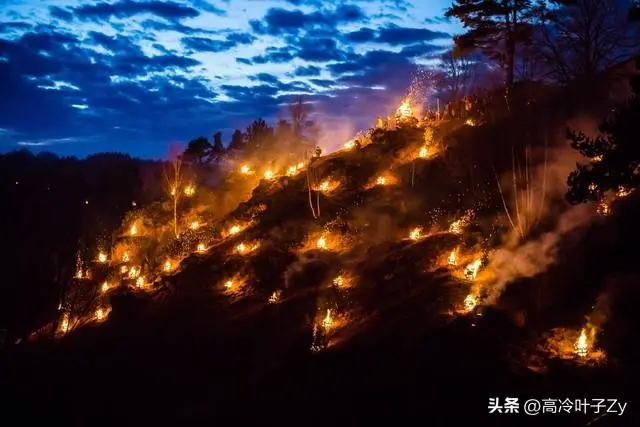 烟台山火染红天际 纵火者已被刑拘（详细内容）