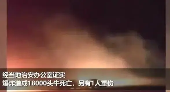 美国奶牛厂爆炸 约1.8万头牛死亡（另有1人受重伤）