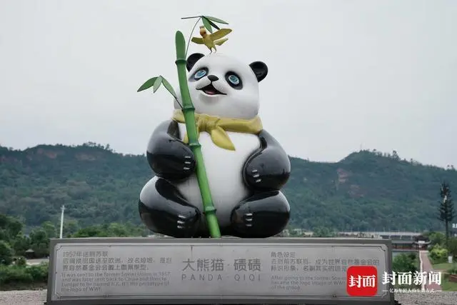 雅安大熊猫雕塑穿和服?真相来了（详细内容）