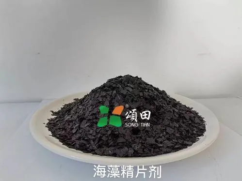 海藻精使用注意事项