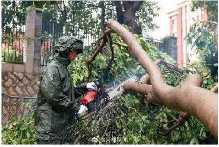 祝贺圆梦！25名战士救灾一线收到军校通知书