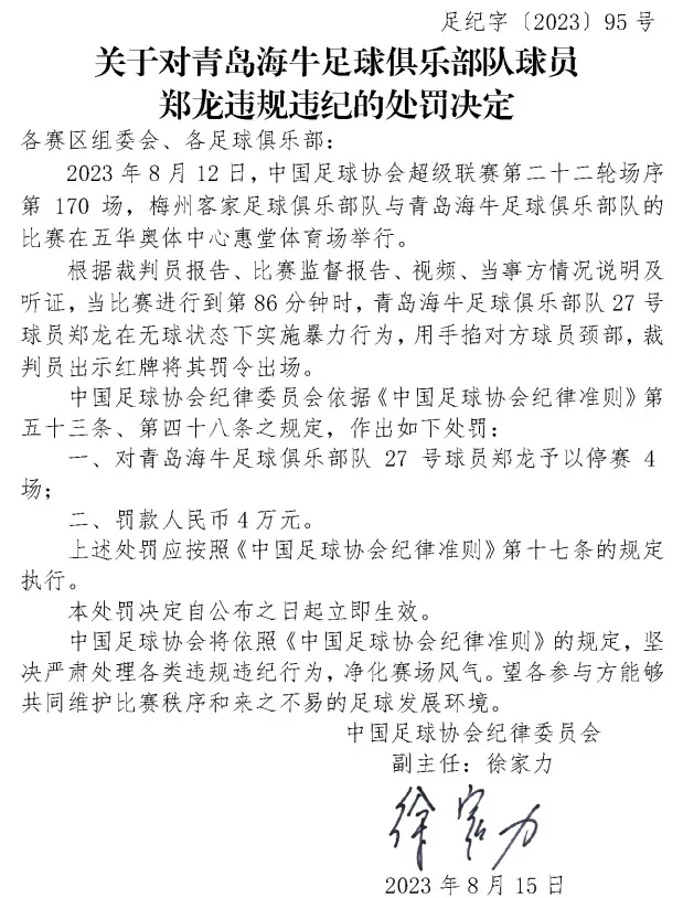 中国足协开罚单：锁喉对手，辱骂球童，罚！