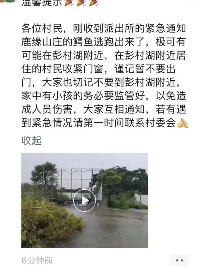 养殖场疑多条鳄鱼出逃，民兵称将击毙，当地拉起警戒线