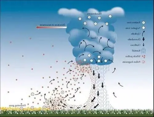 暴雨过后突现“雷暴哮喘”，诊室排起长队！当地卫健委回应