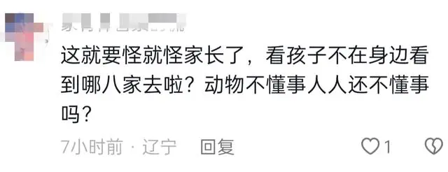 疑似啄到眼睛，儿童被火烈鸟攻击！网友吵翻：家长只顾拍视频？