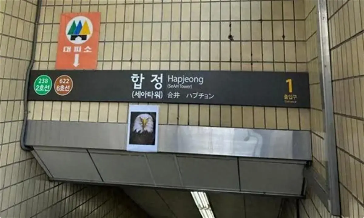 首尔地铁站贴老鹰照片吓鸽子（专家表示没多大用）